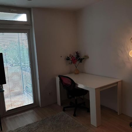 Ljubljanaart Apartment Buitenkant foto
